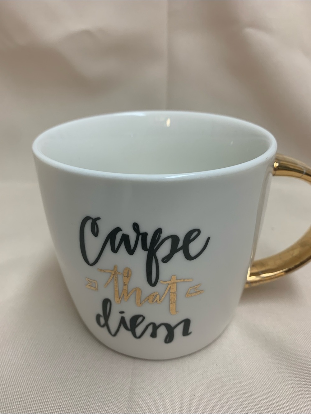 Slant Collections "Carpe That Diem" Ceramic Coffee Mug, 14 oz White/Gold